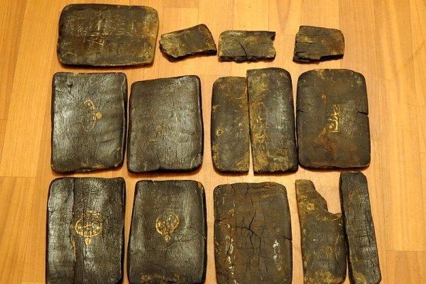 Официальный сайт даркнета
