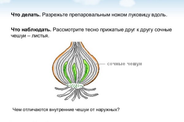 Магазин kraken даркнет