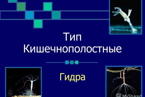 Рабочие ссылки и зеркала кракен