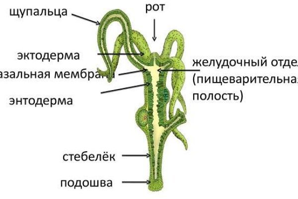 Kraken onion ссылка